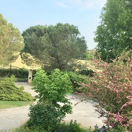 Les ô De La Laurence *